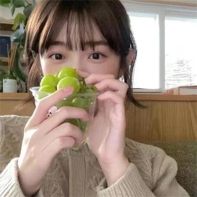 鸽之翼