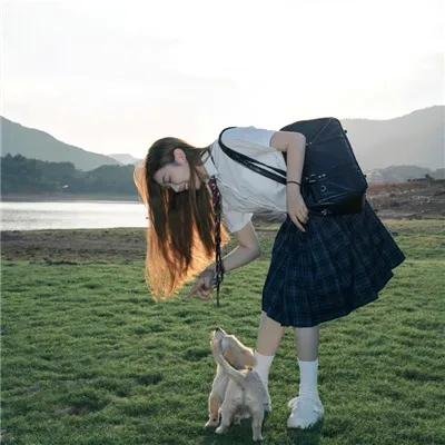 赖猫的狮子倒影
